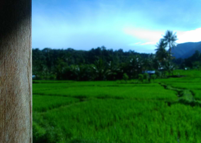 Nature View