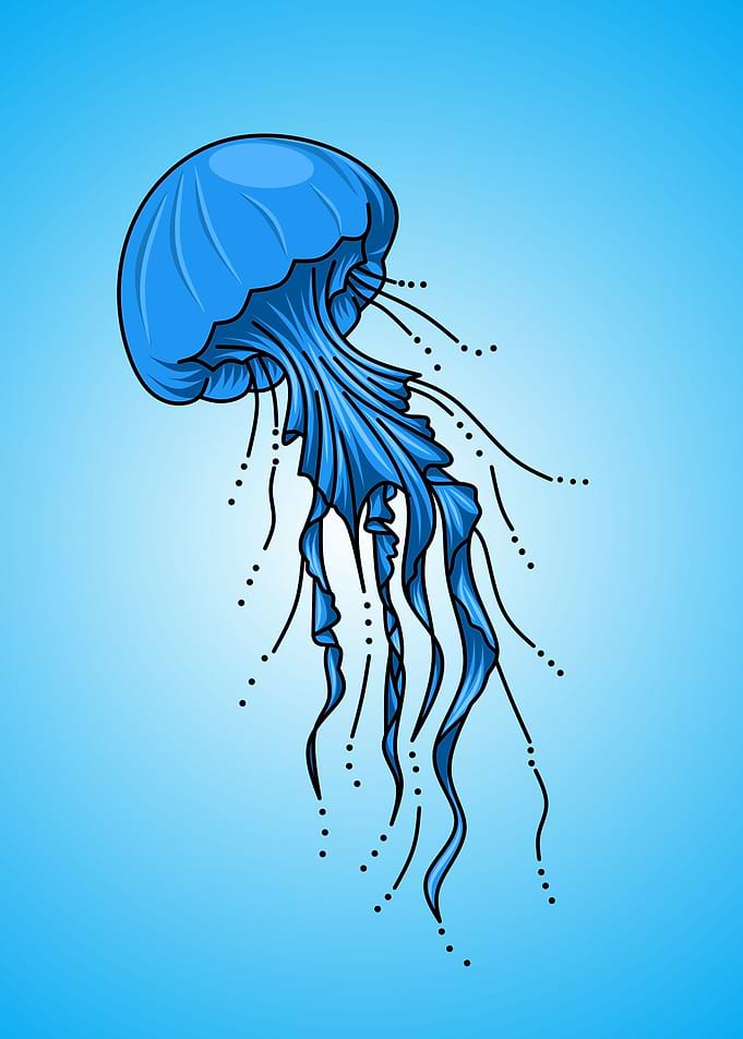 Blue jellyfish