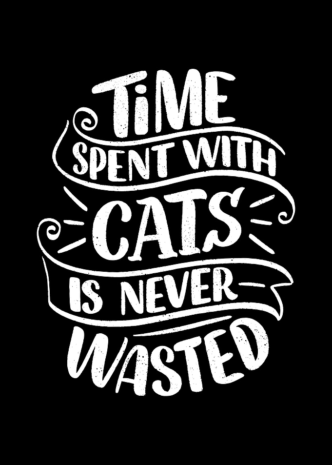Cat quotes