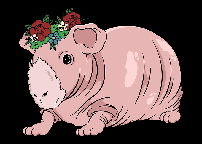 Skinny Pig with Flowers