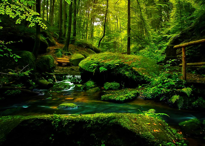 The Brook