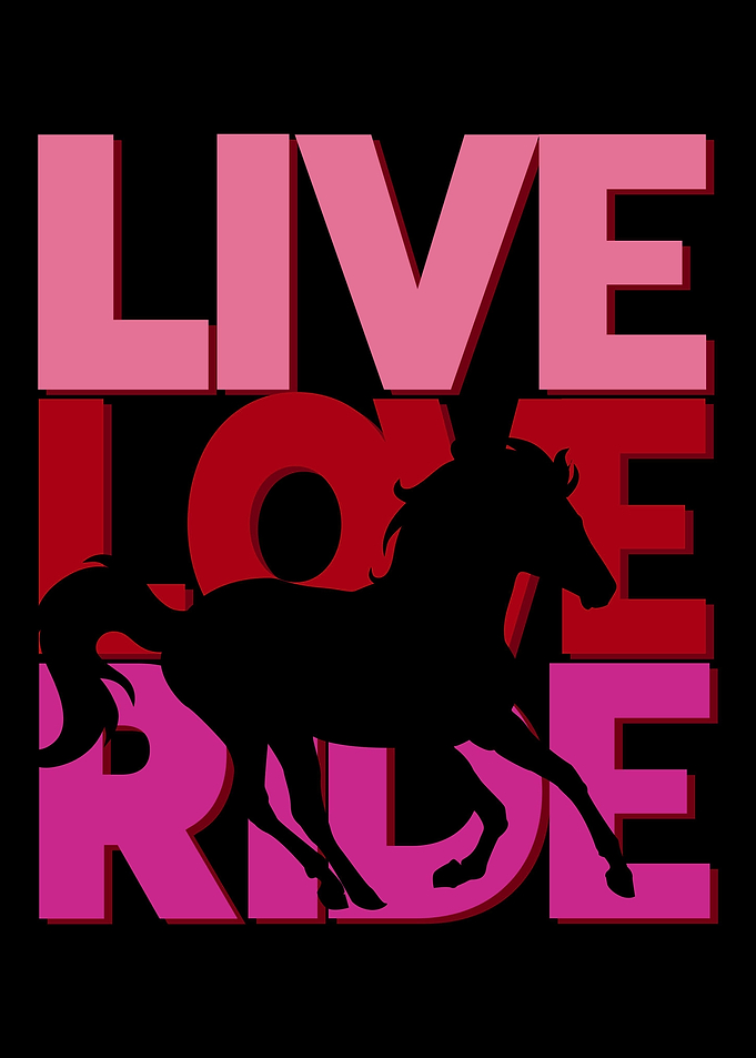 Horse rider gift