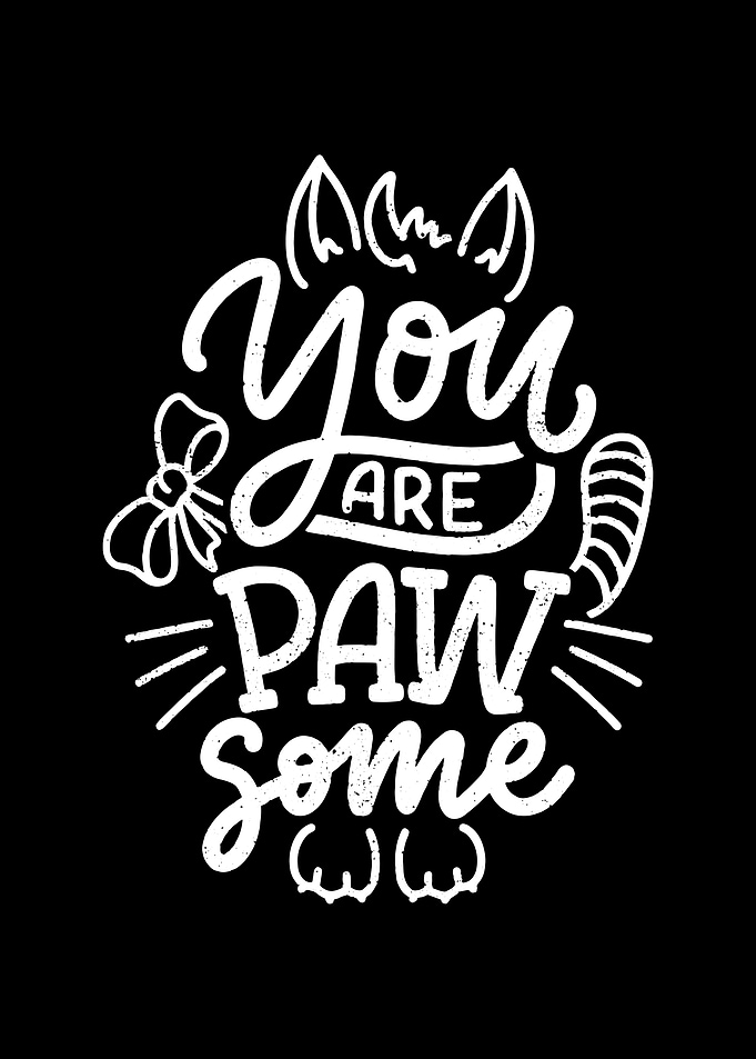 Cat quotes