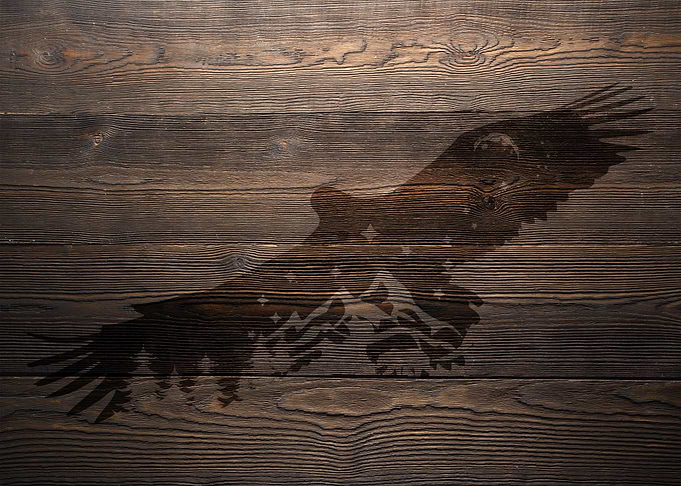 NATURE WOOD EAGLE