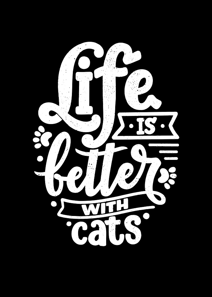 Cat quotes