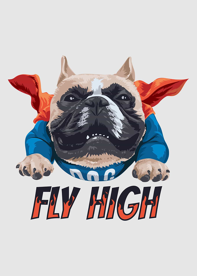 Fly High Funny Pug