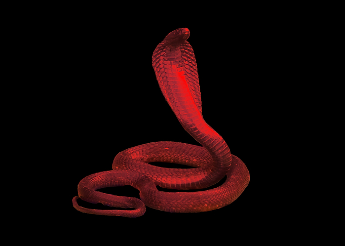 Snake