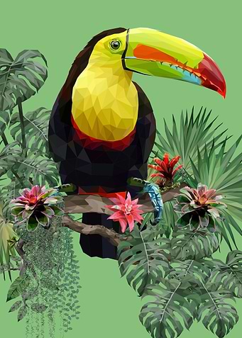 Toucan