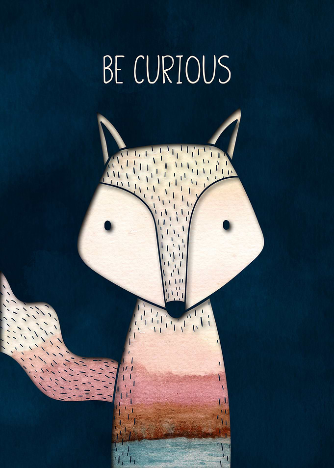 Fox Be Curious