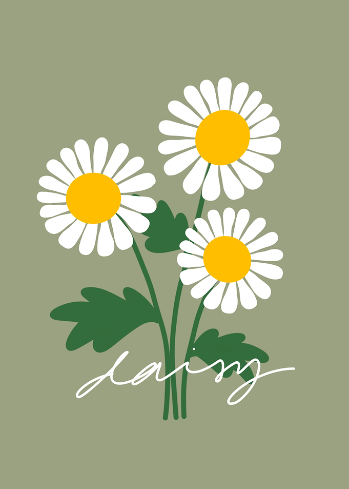 Daisy Flower