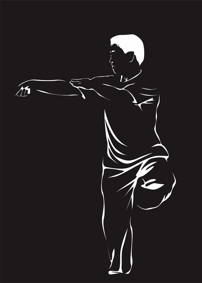 wushu