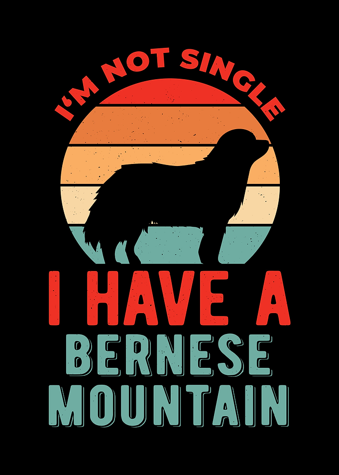 Funny Bernese Mountain