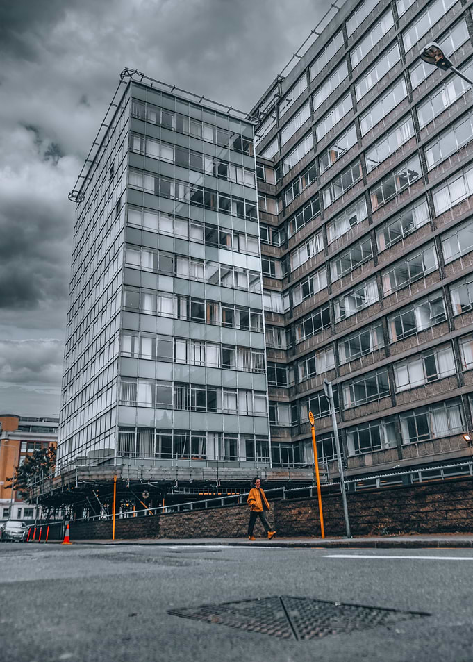 Urban Jungle
