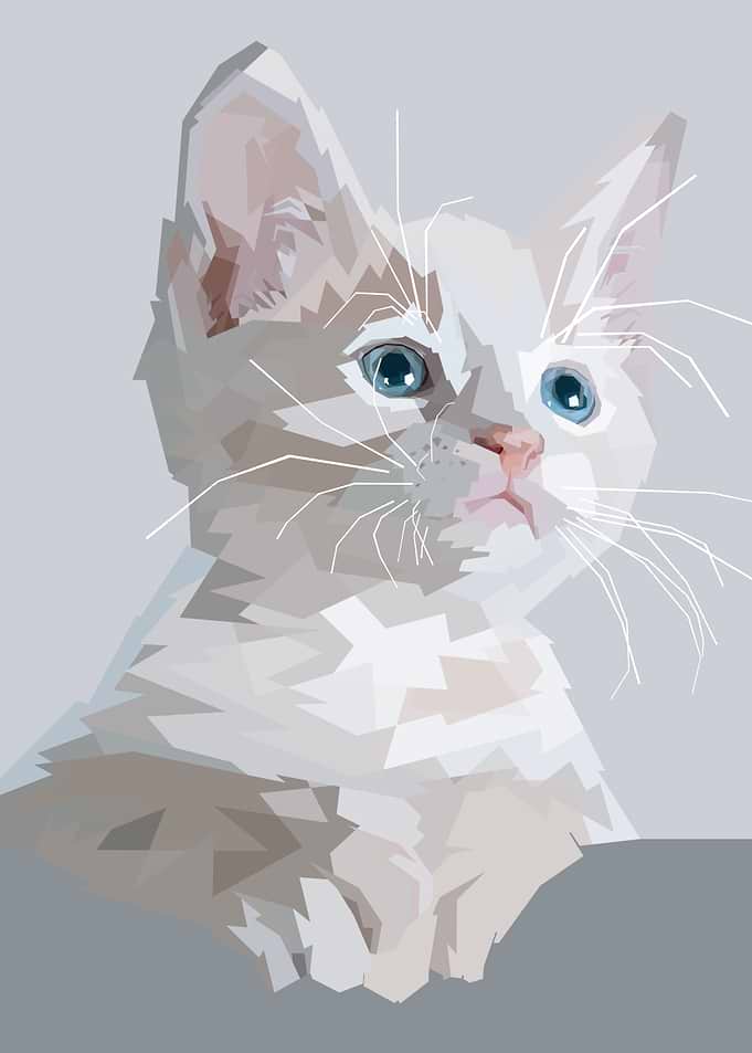Cute cat