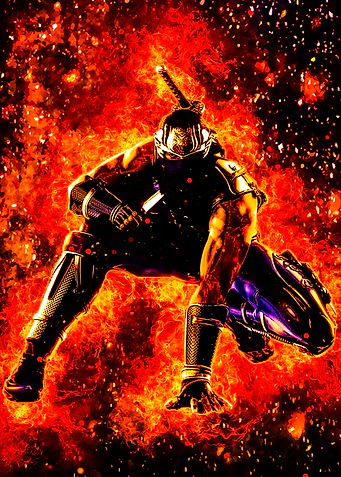 The Ninja Gaiden