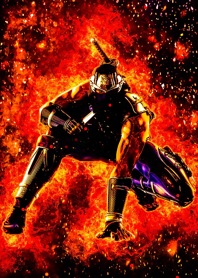 The Ninja Gaiden