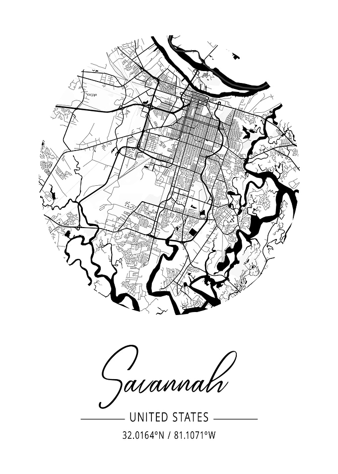 Savannah City Map
