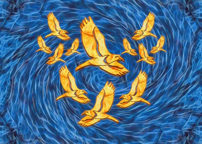 Swirling birds