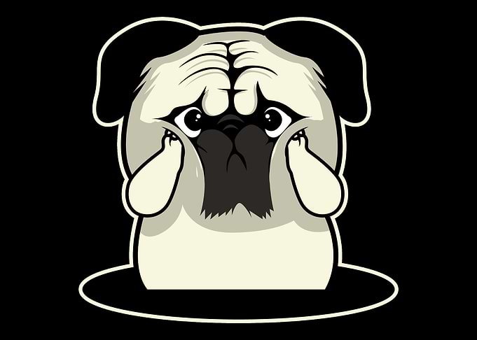 Pug Animal Shock Dog Owner