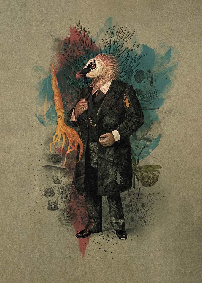 The Naturalist