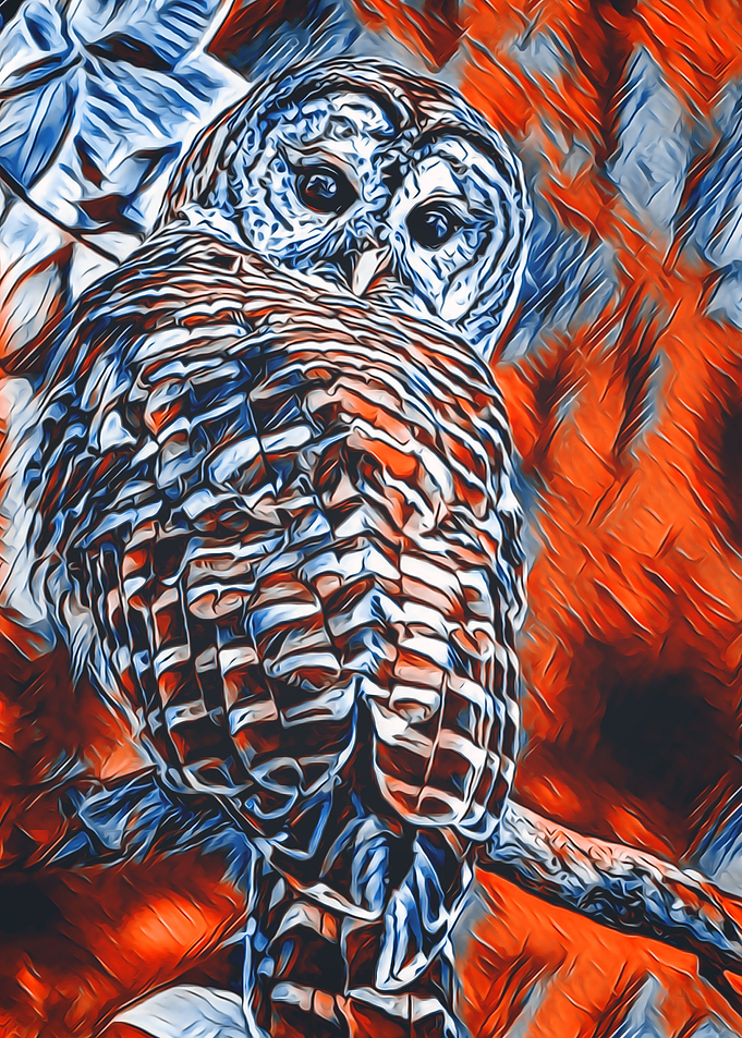 Animals 6