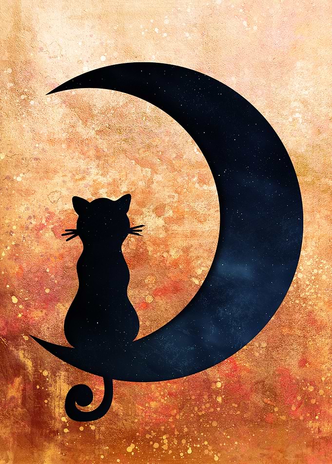 Golden Night Cat