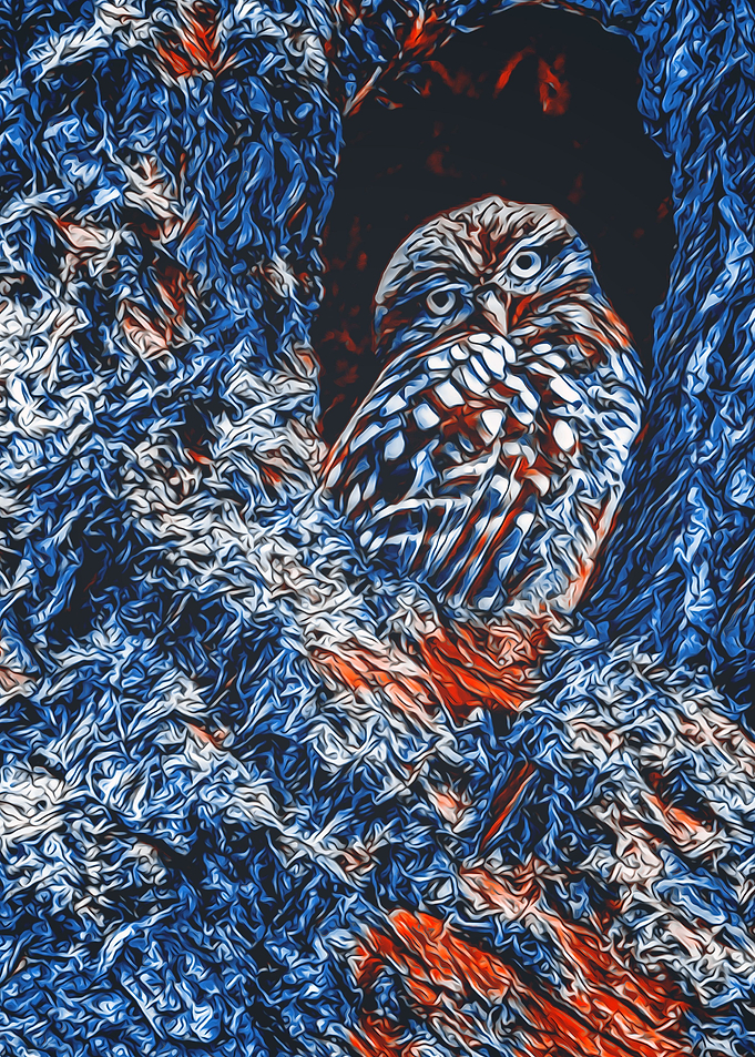 Animals 8