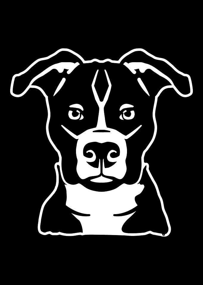 Staffordshire Terrier