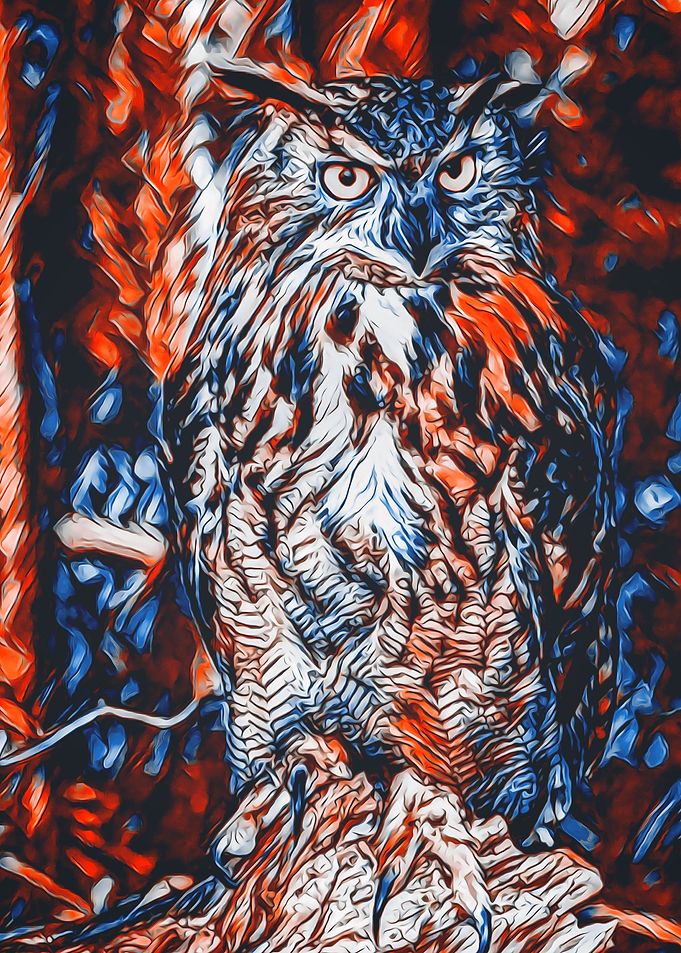 Animals 7