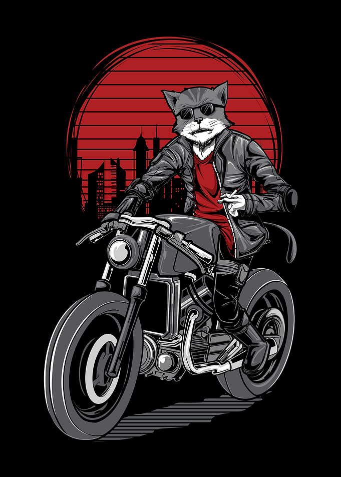 Cat rider