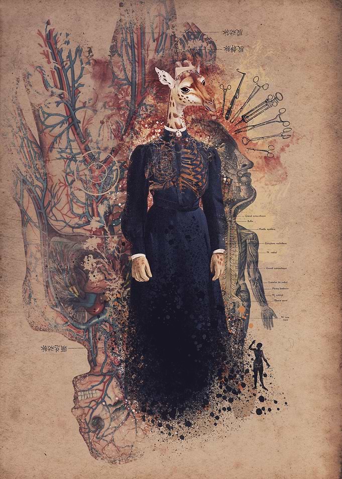 The Nurse