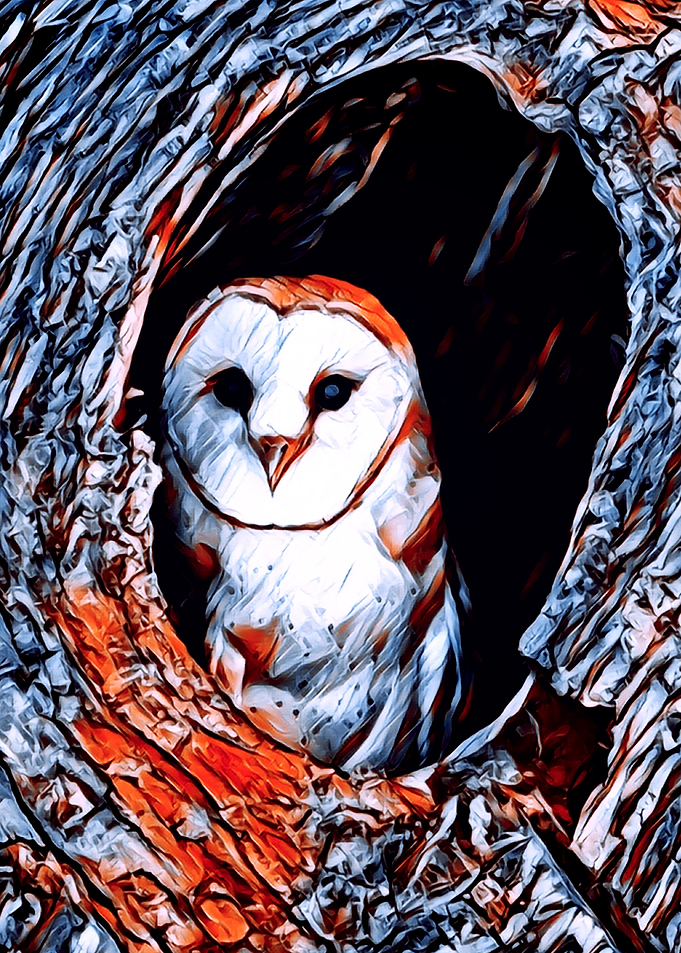Animals 2