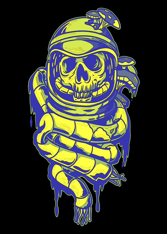 Astronaut Skull Helmet