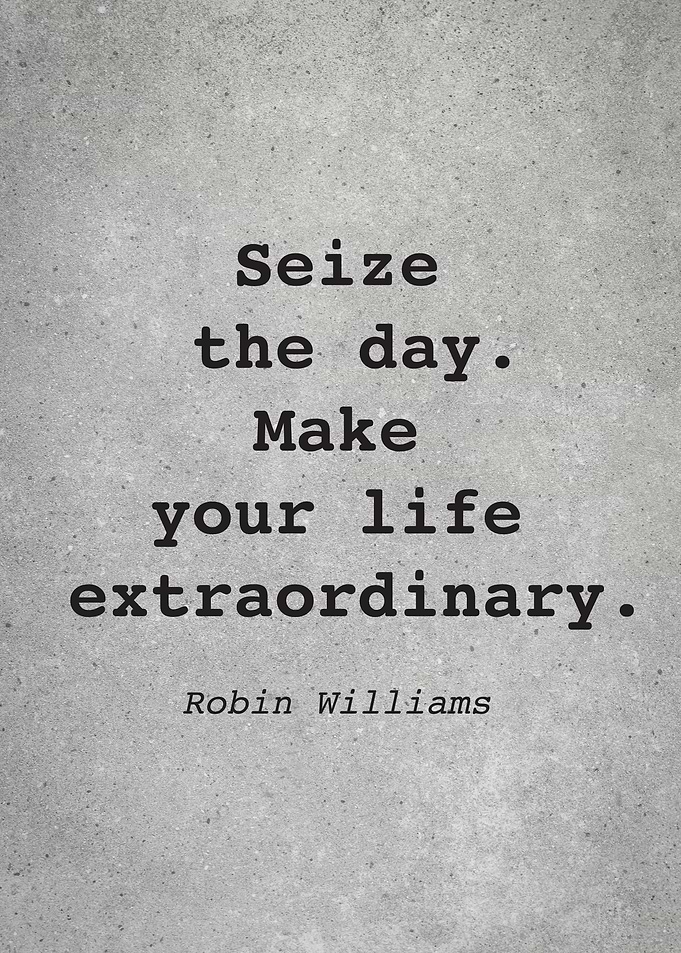 Robin Williams Quote L011