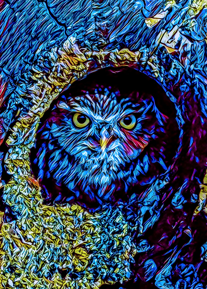 Animals 10