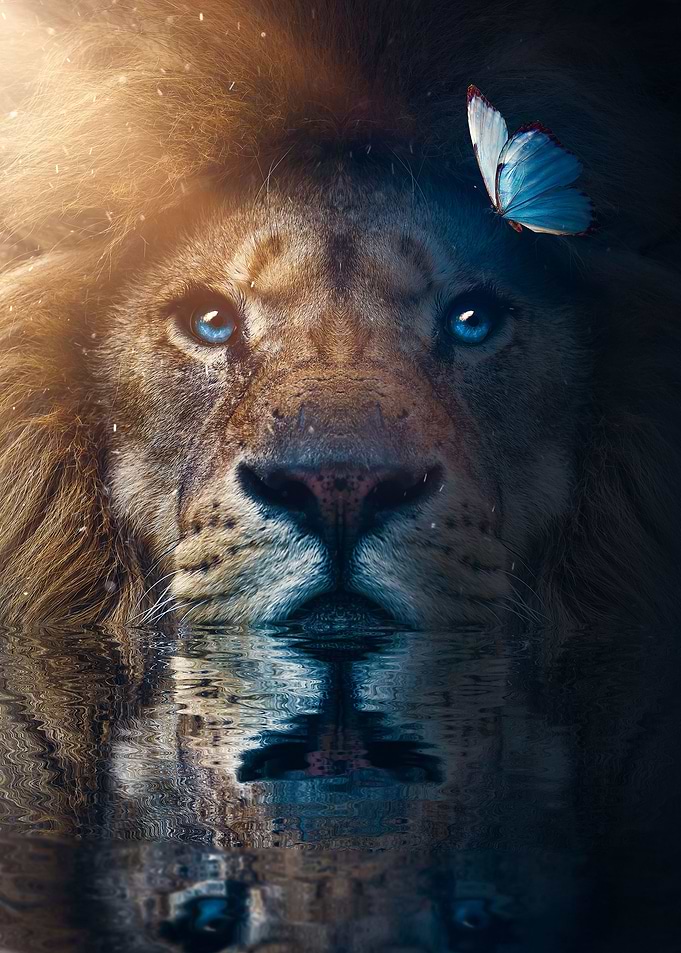 lion with butterfly art