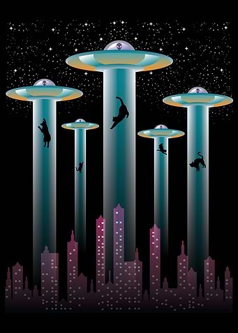 Cats and Alien