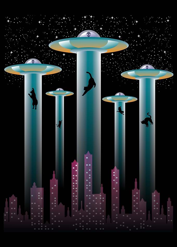 Cats and Alien