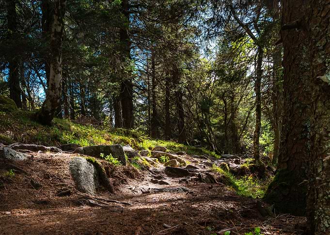 Vosges