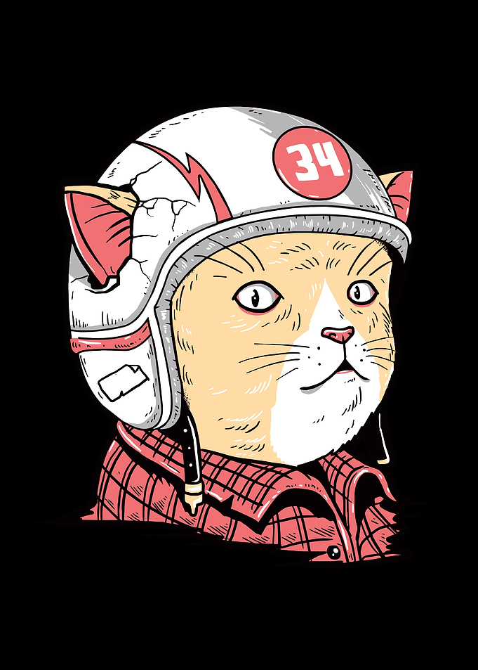 Cat rider