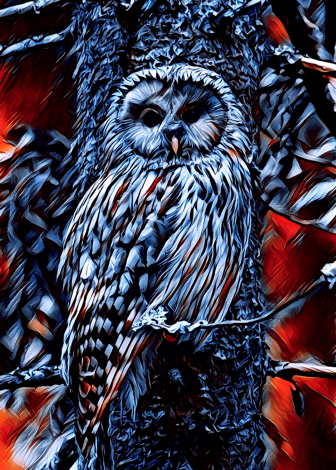 Animals 3