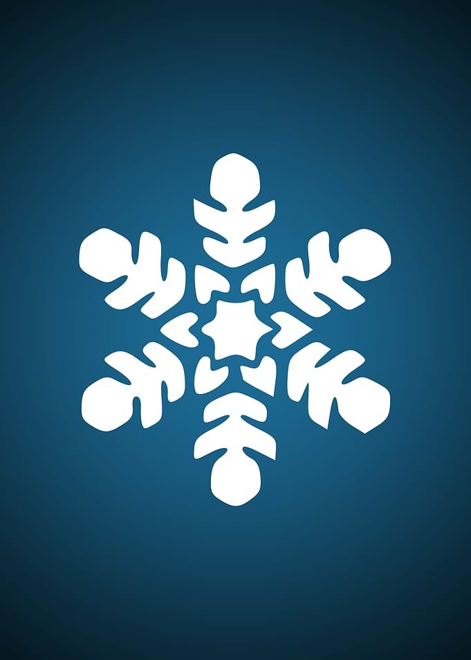 Snow flower