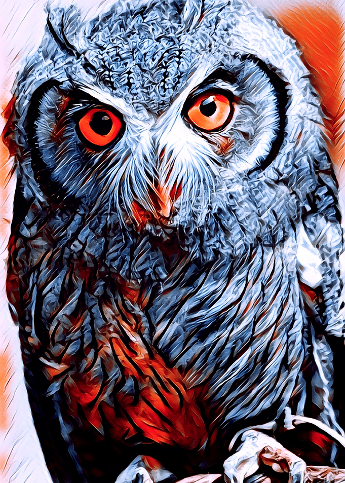 Animals 1