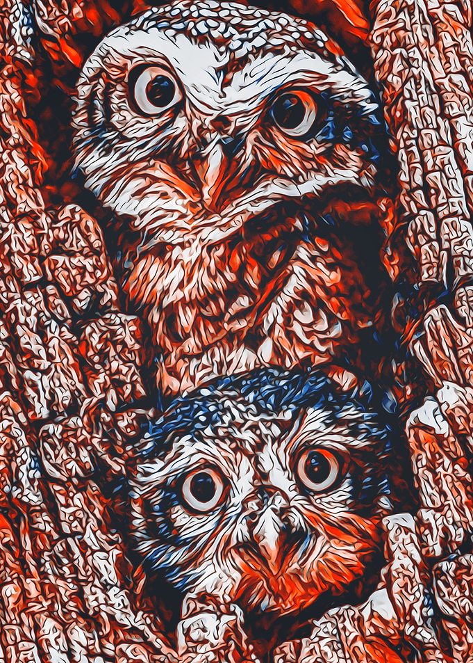Animals 9