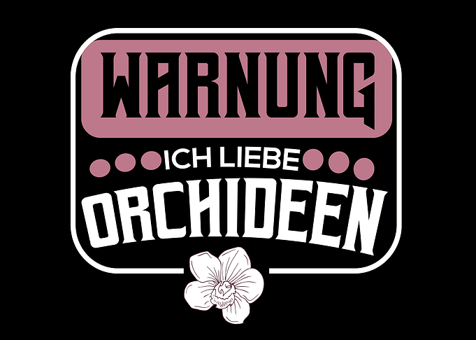 Orchidee Orchideen Orchids