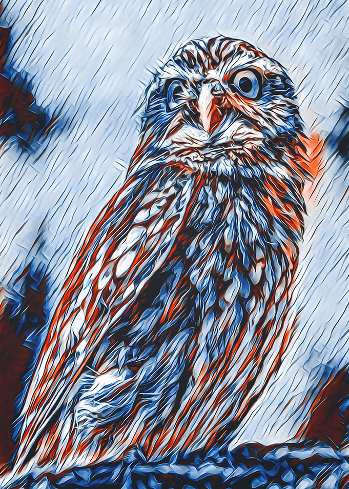 Animals 5