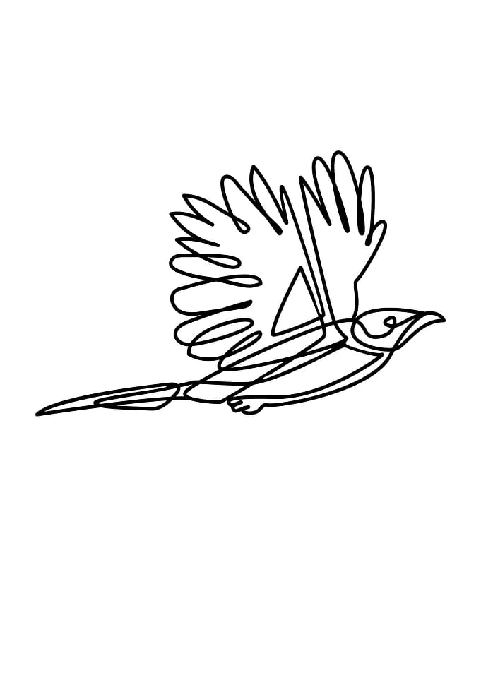 Bird Line Art Black White
