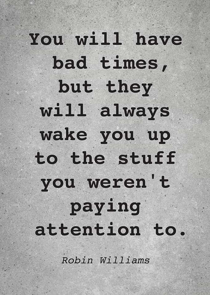 Robin Williams Quote L015