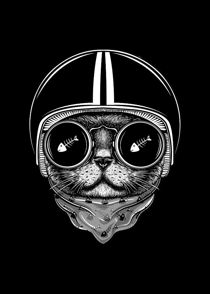 Cat rider