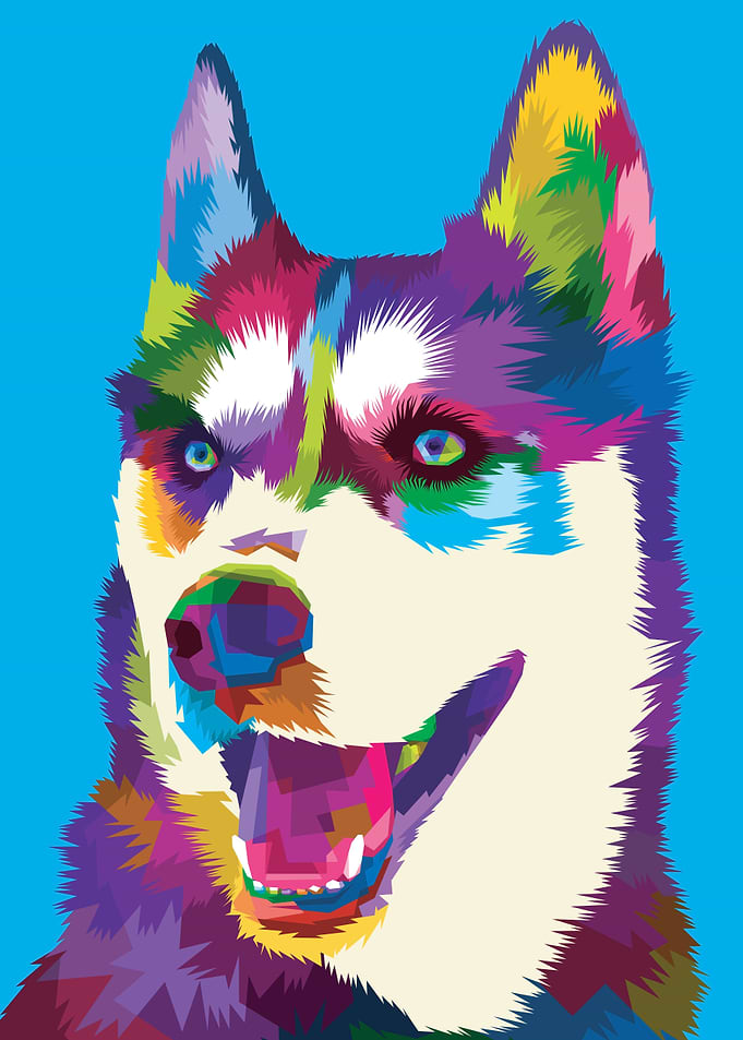 Siberian husky